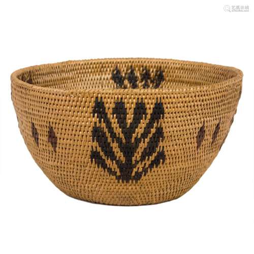 A Washoe polychrome single rod basket with a pattern of a pl...