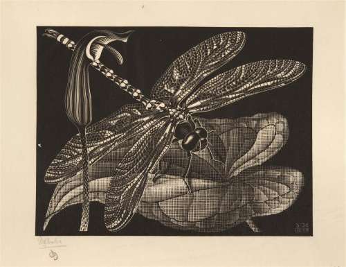 Maurits Cornelis Escher (1898-1972)<br />
'Libellula (Dragon...