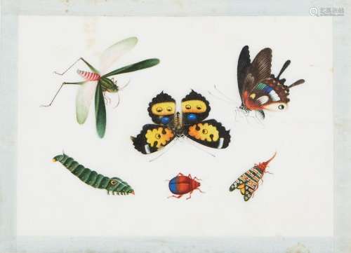 Paire de gouaches papillons et insectes sur papier de riz. <...