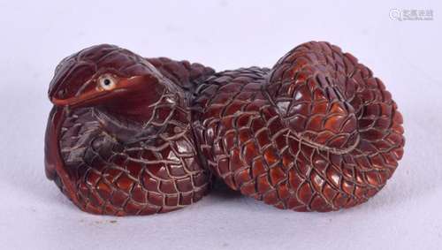 A JAPANESE CARVED WOOD SNAKE NETSUKE. 5 cm wide.