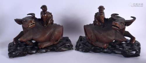 A PAIR OF 19TH CENTURY CHINESE CARVED HARDWOOD BUFFALOS ON S...