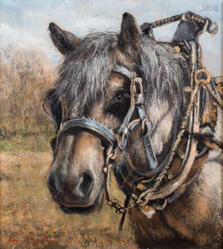 Leon ENGELEN (1943) 'Brabant Horse' oil on canvas. (W: 45 x ...
