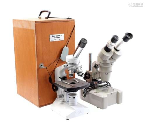 Euromex Arnhem microscopes