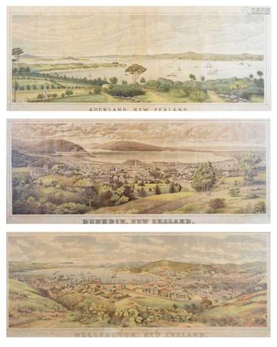 New Zealand Interest - Three rare late 19th Century prints