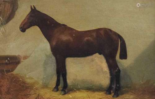 19th Century oil on board - Hackney horse in a stable