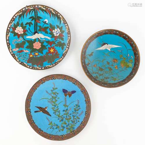 A set of 3 cloisonné display plates with a bird decor. Meji ...