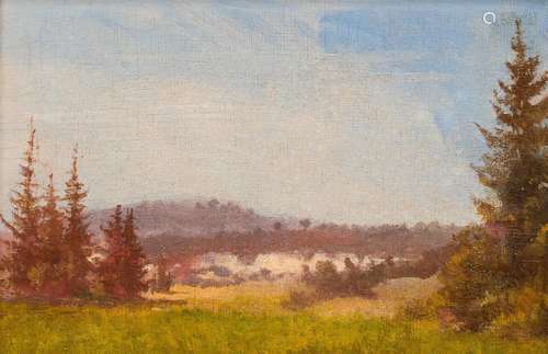 European school: Heathland landscape, oil on canvas, 19th/20...