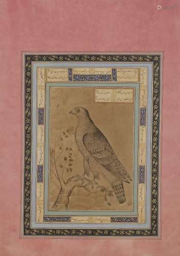 FALCON PERCHING ON A TREE BRANCH, PERSIA, 19TH CENTURY