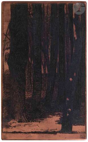 Félix Bracquemond (1833-1914)Rideau de troncs noirs devant u...