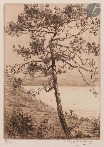 Eugène Delâtre (1864-1938)Étude de pins à Kérity ; Bois de B...