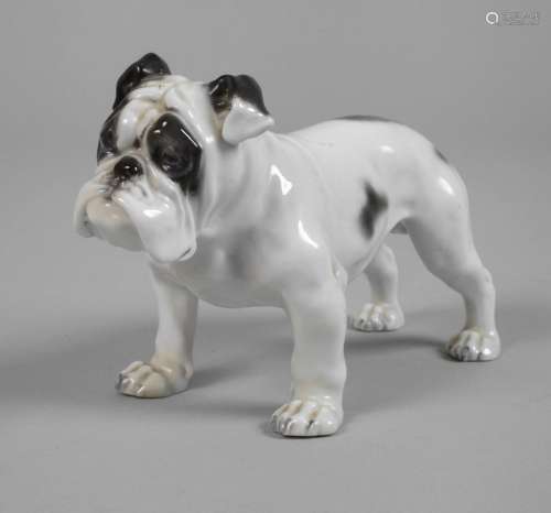 Rosenthal "Englische Bulldogge"