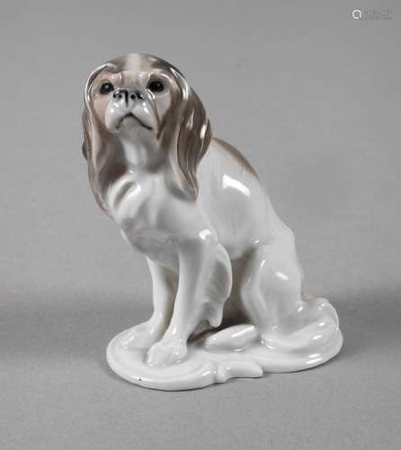 Rosenthal kleiner "King Charles Spaniel"