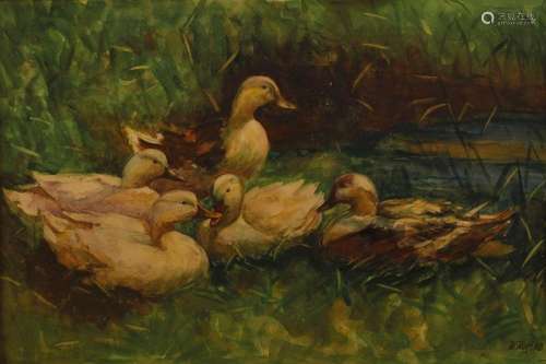 W. Wolf, Enten am Seeufer