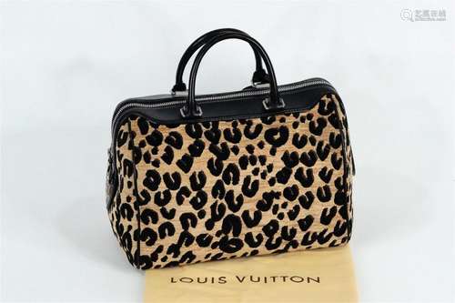 Louis Vuitton x Stephen Sprouse Leopard Speedy 30