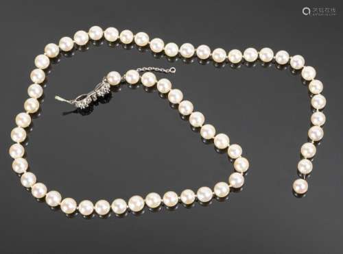 Collier de perles de culture en choker (diamètres : 7.3 à 7....