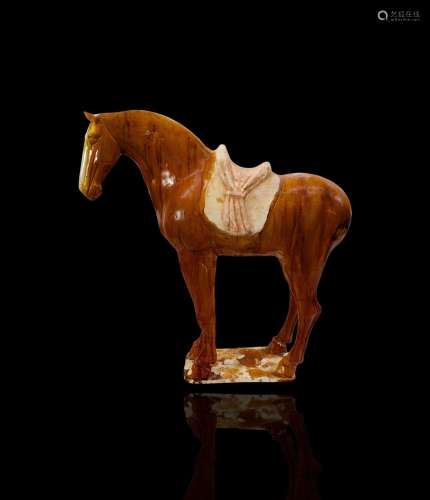 A Large Amber Glazed Pottery Horse, Tang Dynasty唐 褐釉马