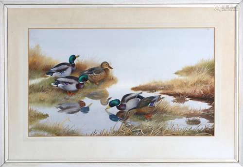 Philip Rickman - 'Mallard' (Five Ducks in a Wetland Landscap...