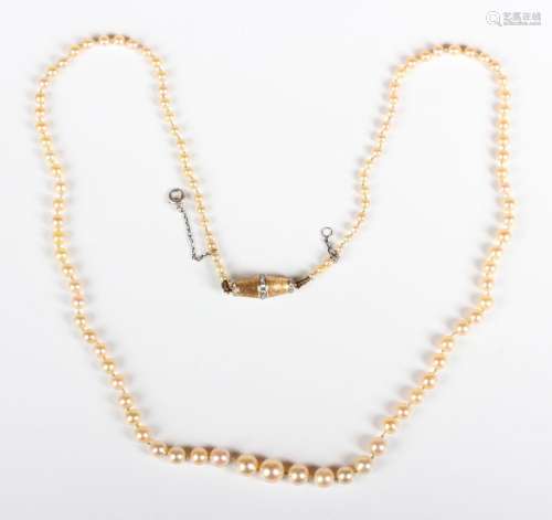 A single row necklace of graduated golden coloured pearls on...