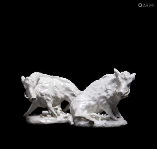 A PAIR OF DERBY WHITE PORCELAIN MODELS OF BOARS OF SO-CALLED...