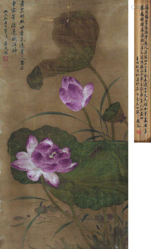 1669～1732 蒋廷锡 荷花 立轴 绢本设色