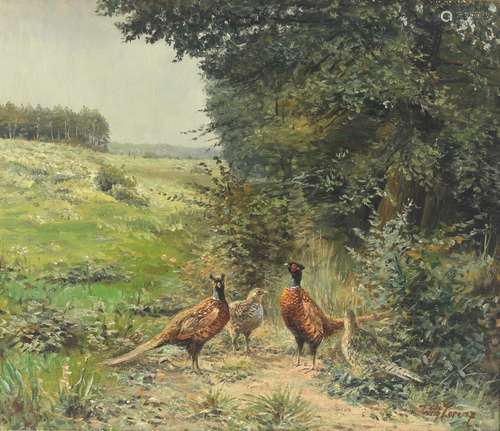 Willy Lorenz (1901-1981) pheasant family on forest boarder, ...