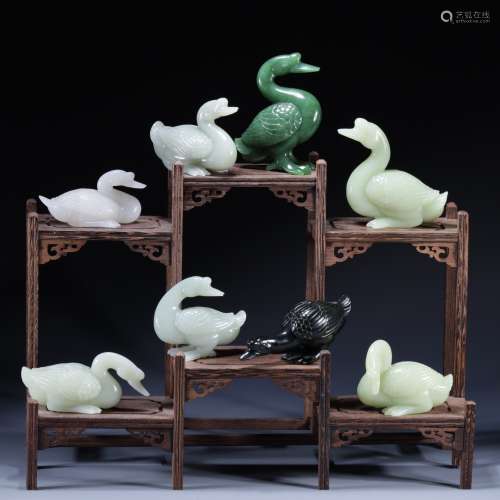He Tianyu has a set of swans
