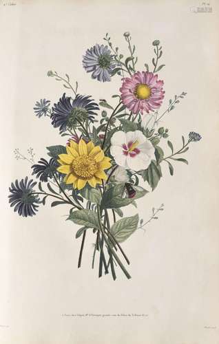 [PRÉVOST (Jean Louis)]. Collection des fleurs et des fruits,...