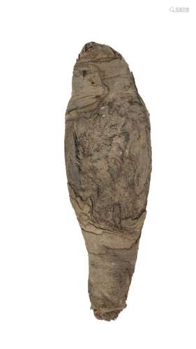 Faucon momifié, Epoque ptolémaïque, Egypte, long. 23,5 cmRem...