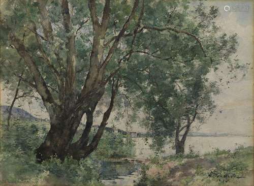 Paul Bouvier (1857-1940)<br />
Arbre, bord du lac de Neuchât...