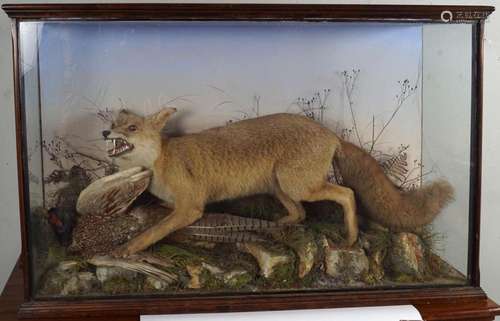 TAXIDERMY: FOX AND PHEASANT