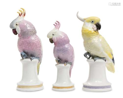 Three Karl Ens porcelain cockatoo figures