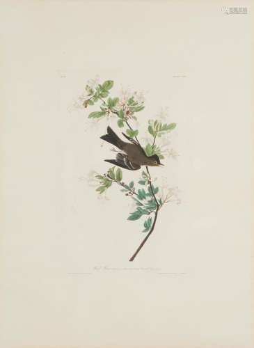 John James Audubon (1785-1851) John James Audubon, (1785-185...