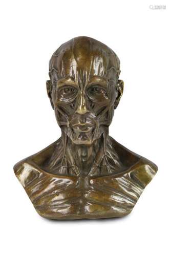 Continental skinned bronze - 19th century