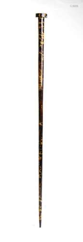 Art Dèco tortoiseshell walking stick cane - 1900-1920<br />