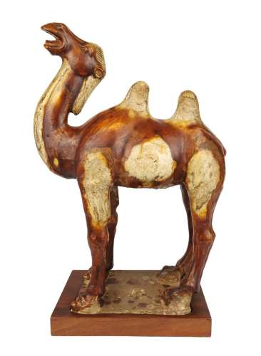A Tang dynasty straw glazed camel on wooden plinth