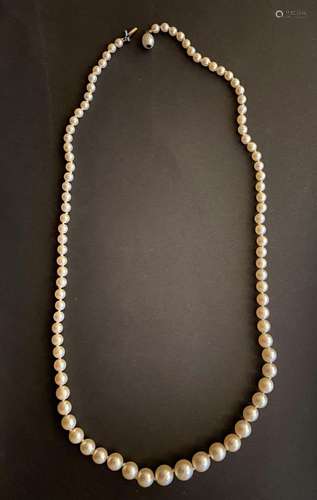 Collier formé de 91 perles de culture disposées en chute, le...