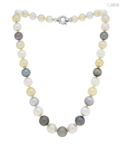 Collier 1 rang de perles de culture Gold, de Tahiti et des m...