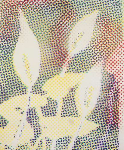 Sigmar Polke Calla. 1996. Farboffset auf glattem Offsetpapie...