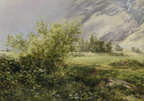 Edward Theodore Compton - Summer plateau in the mountains