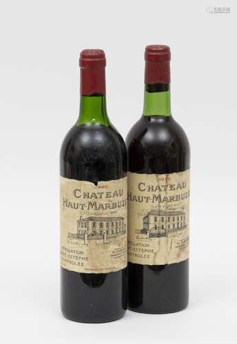 MARBUZET - 2 bouteilles : 1 CHÂTEAU HAUT-MARBUZET 1986 Saint...