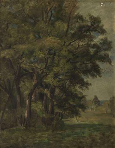 Barthélémy Menn (1815-1893) <br />
Etude d'arbres, huile sur...