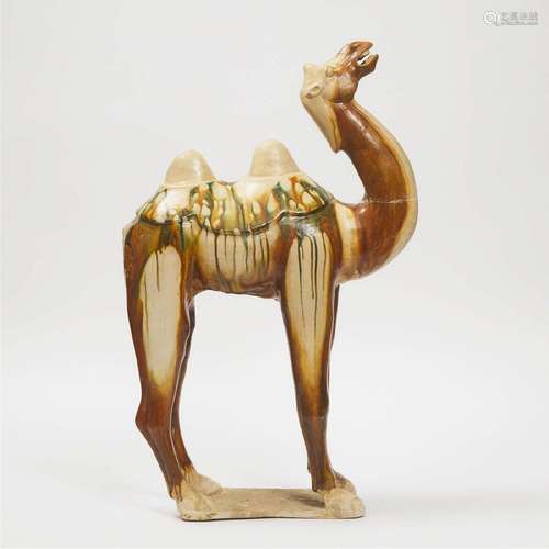 A Large Sancai-Glazed Pottery Figure of a Bactrian Camel, T