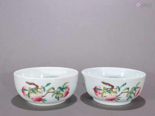 Pastel multi-child multi-fu bowl