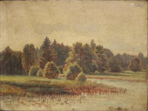 Eugen John (deutsch, 1863 - 1920), Blühende Landschaft, Öl a...