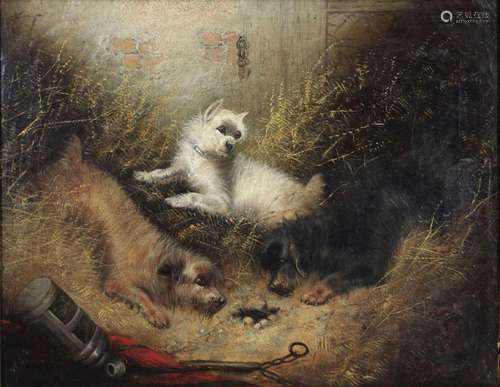 George Armfield (britisch, um 1808 - 1893), Drei Terrier, Öl...