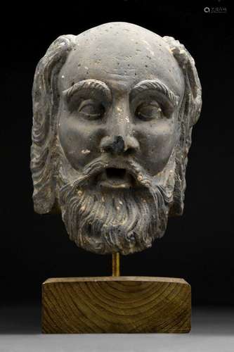 GANDHARAN SCHIST HEAD OF AN ELDER ASCETIC