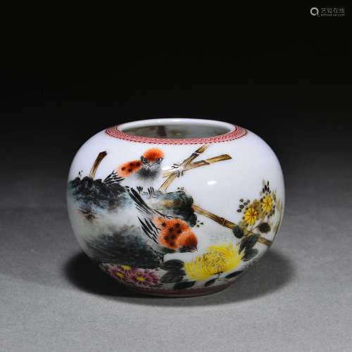 Famous autumn chrysanthemum water bowl
