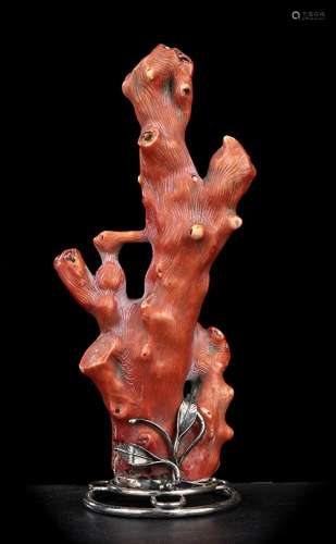 A RED CORAL  BRANCH WITH SILVER MOUNT