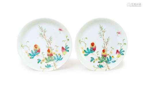 A PAIR OF CHINESE FAMILLE DISHES, SIX CHARACTER GUANGXU MARK