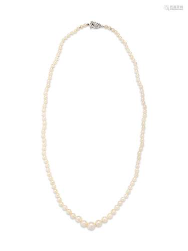 NATURAL PEARL NECKLACE